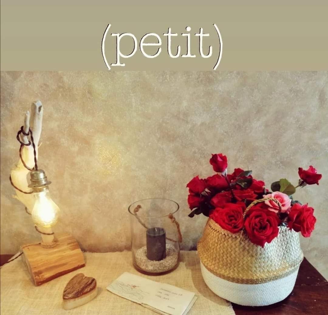 Hotel Petit 锡尔维玛丽娜 外观 照片