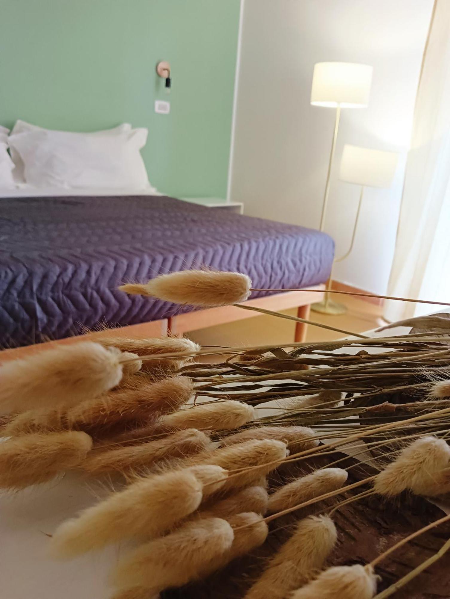 Hotel Petit 锡尔维玛丽娜 外观 照片