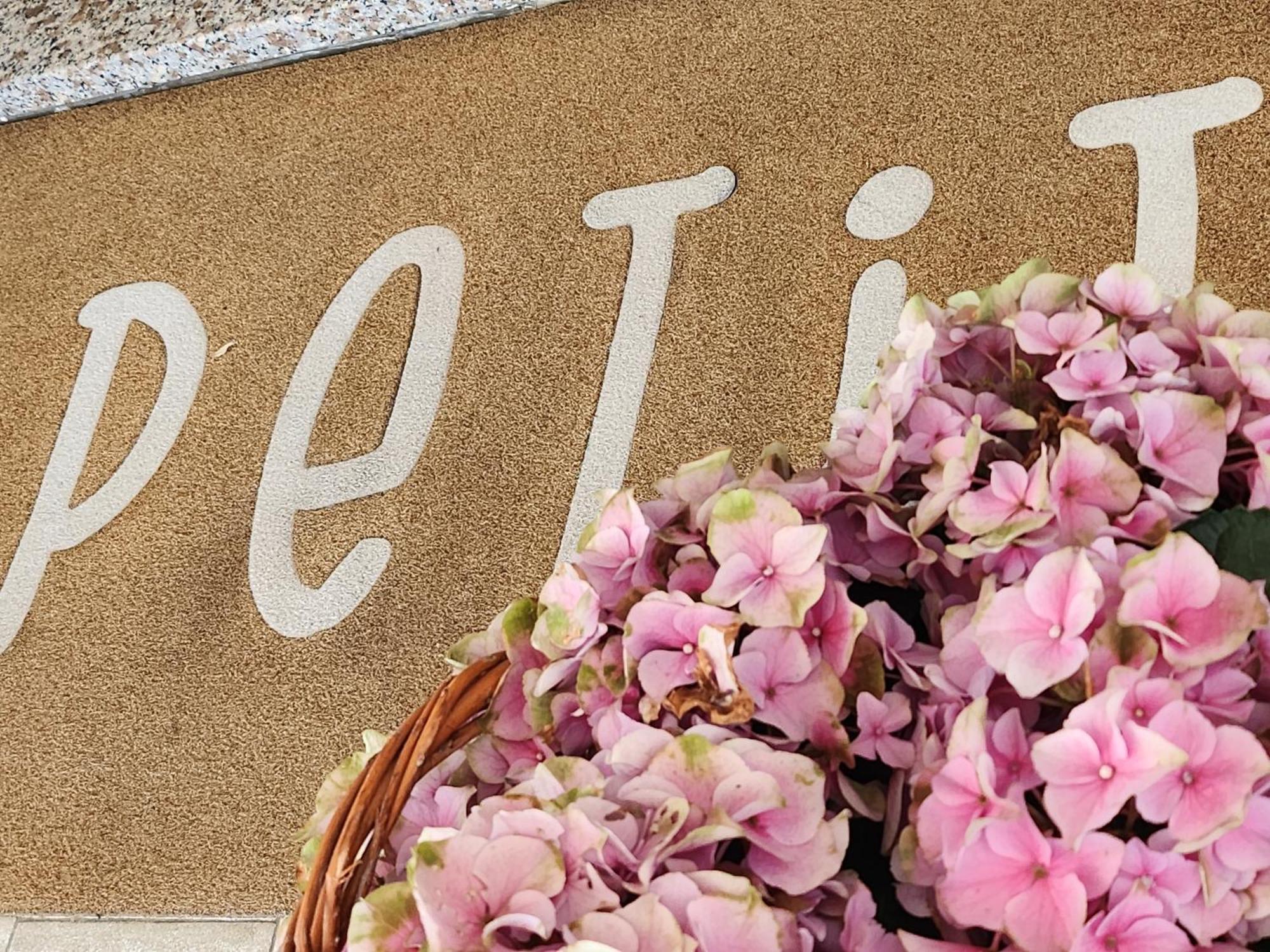 Hotel Petit 锡尔维玛丽娜 外观 照片